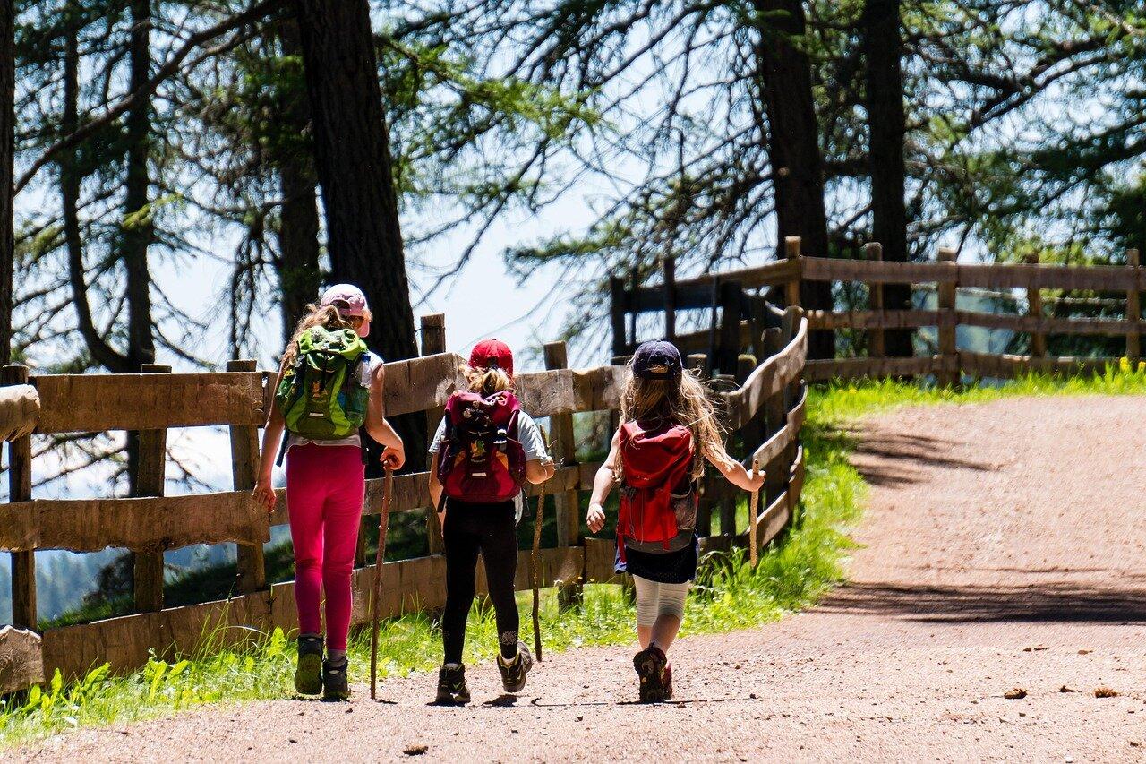 Guided hikers following a wooded mountain trail