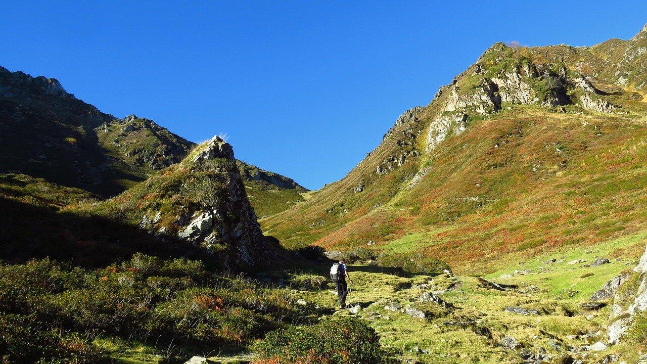 Mountain path autumn leaves Pyrenees