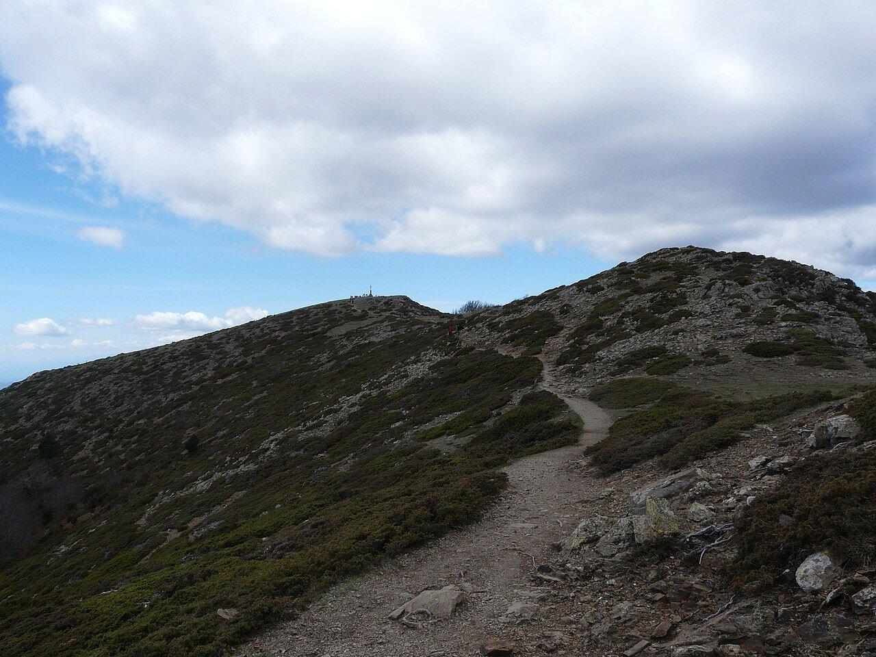 A stony path winding between low shrubs near the summit of Matagalls